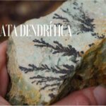 Andalucita: Propiedades, Beneficios y Significado de esta Piedra Preciosa
